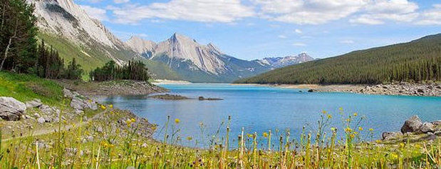 Marmot * Jasper